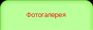 Фотогалерея
